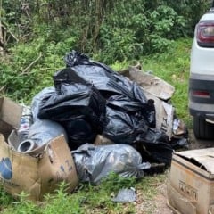 (Foto: Secretaria do Meio Ambiente de Carlos Barbosa) 