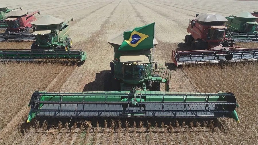 Os preços das terras dispararam na época da soja a R$ 200/saca e ainda não caíram o suficiente. (Foto: Reprodução)