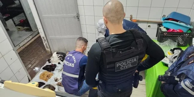 Foto: Polícia Civil/Divulgação