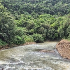 Foto: Ederson de Oliveira/Prefeitura de Caxias do Sul
