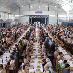 Foto: Márcio Schinoff 