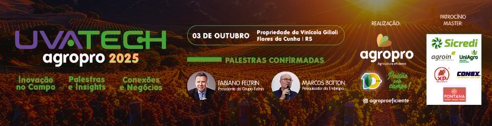 Futuro da viticultura na Serra Gaúcha é tema de evento inédito em Flores da Cunha