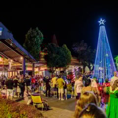 Foto: Darlan Silva Fotografia