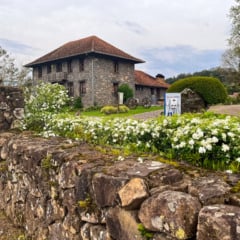 (Foto: Ilustratica/ Vivi Lerin)  (Foto: Ilustratica/ Vivi Lerin)