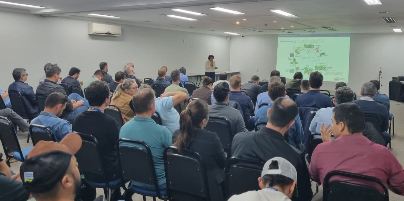Foto: Divulgação/Ascom Seapi