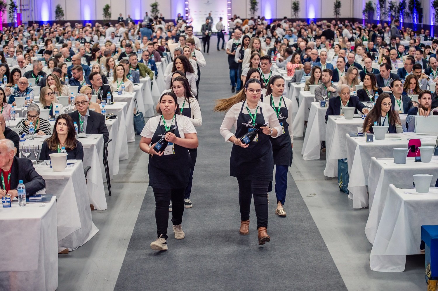 Vinhos Brasileiros Surpreendem: Descubra as 16 Joias da Safra 2025!