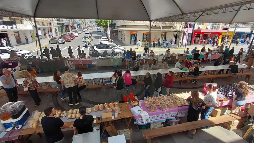 Fotos: PMBG/Divulgação