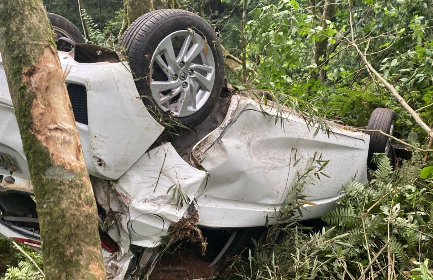 Motorista perde controle de veículo e despenca em ribanceira de 30 metros em Farroupilha Motorista perde controle de veículo e despenca em ribanceira de 30 metros em Farroupilha