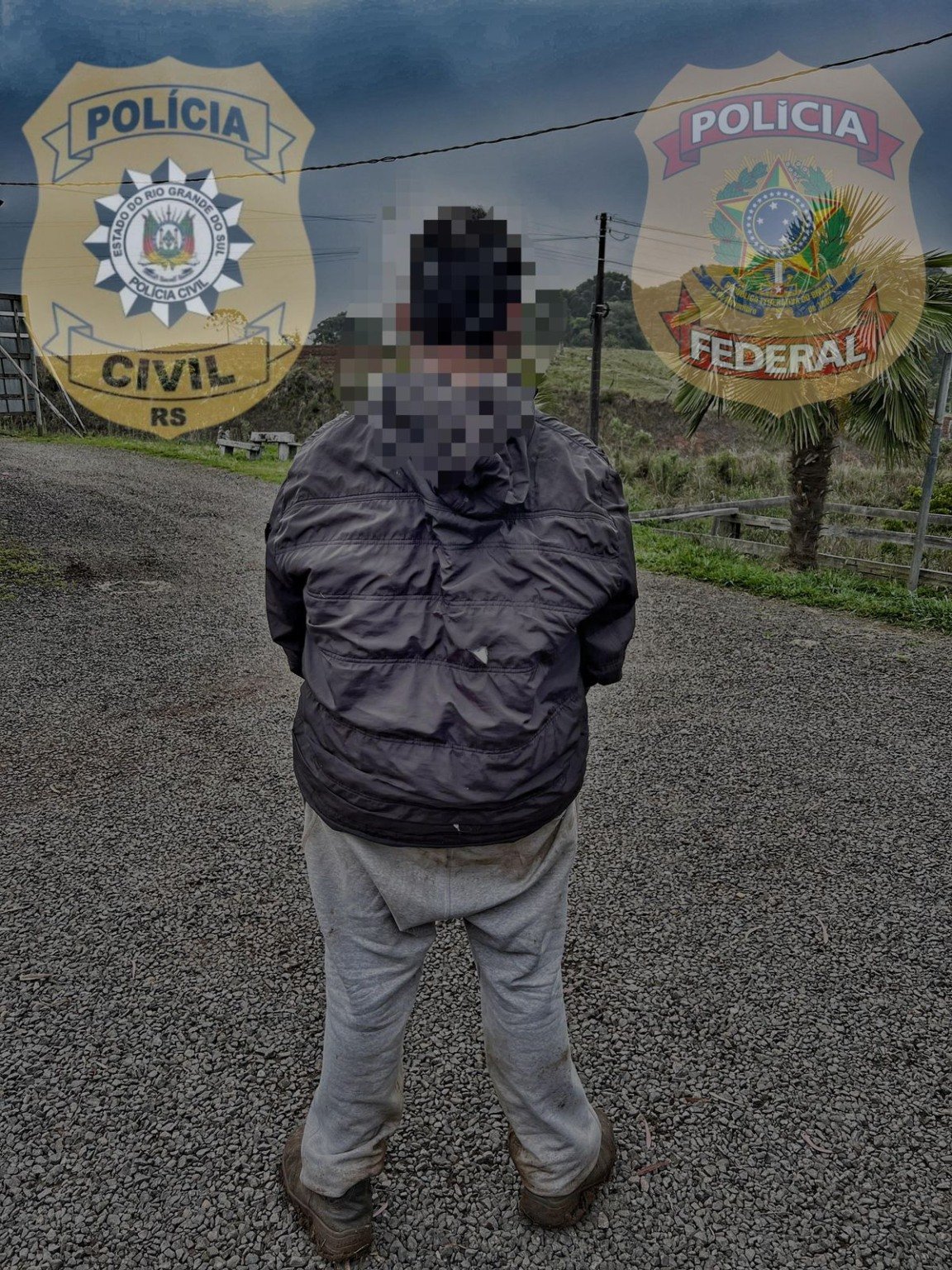 Foto: Polícia Civil/Divulgação