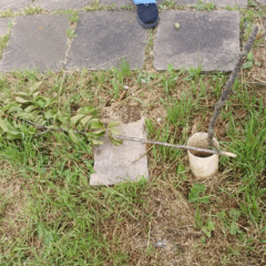 Fotos: Prefeitura de Bento Gonçalves/Divulgação Fotos: Prefeitura de Bento Gonçalves/Divulgação