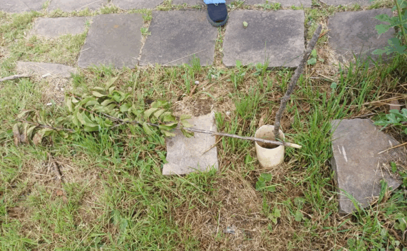 Fotos: Prefeitura de Bento Gonçalves/Divulgação Fotos: Prefeitura de Bento Gonçalves/Divulgação