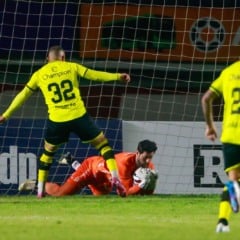Foto: Vitor Soccol/S.E.R. Caxias
