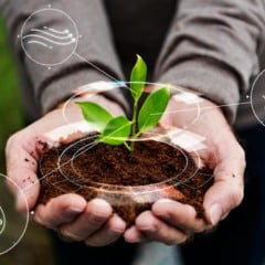 Mãos segurando mudas de planta com elementos de ilustração de sustentabilidade. Mãos segurando mudas de planta com elementos de ilustração de sustentabilidade.