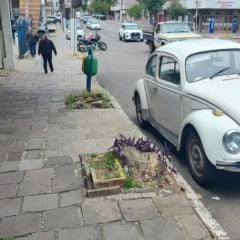 Fotos: Patrick Alessi/Grupo RSCOM