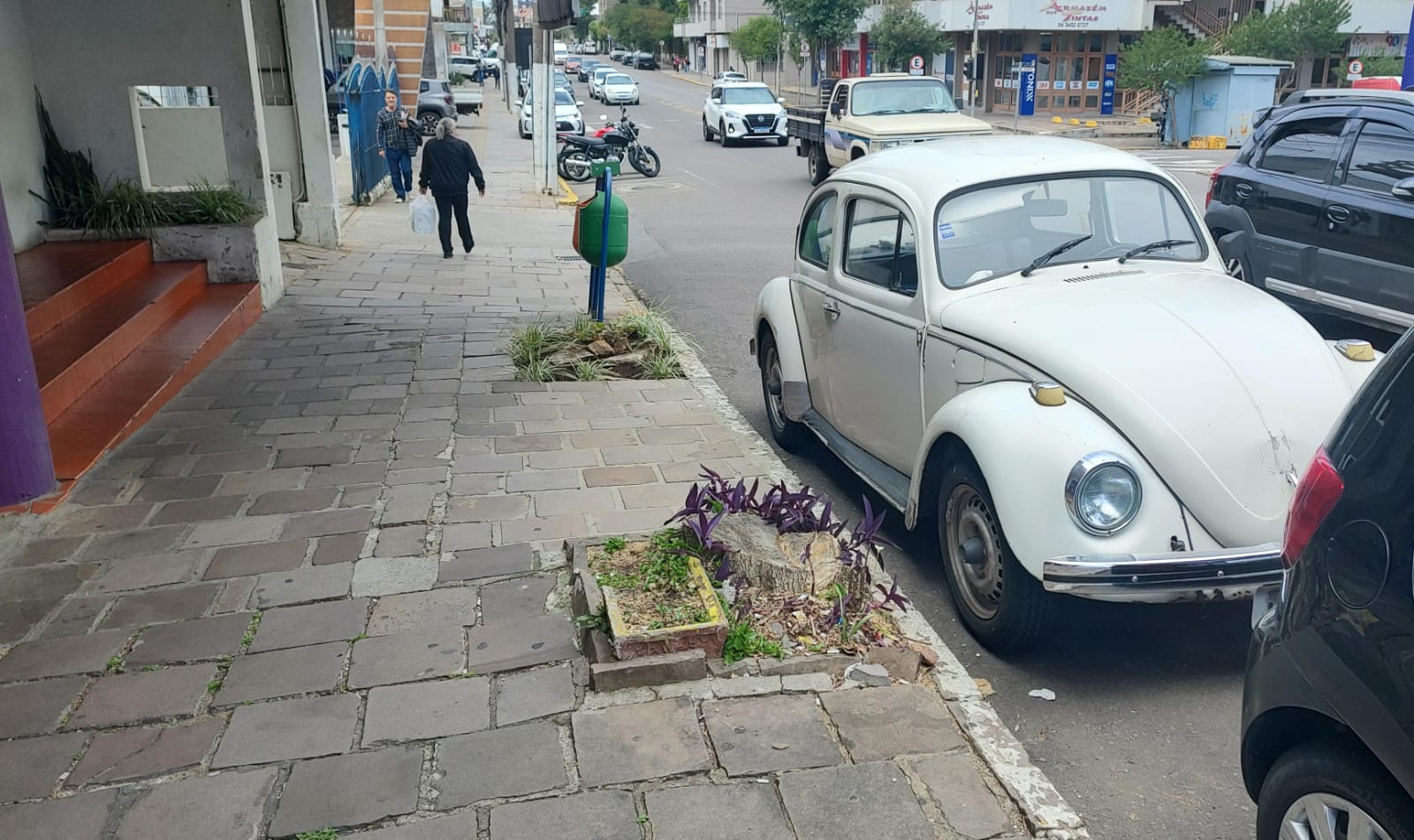 Corte de árvores na Avenida Osvaldo Aranha levanta dúvidas sobre planejamento urbano em Bento Gonçalves