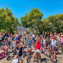 Fotos: Gabriel Campos/Prefeitura de Flores da Cunha
