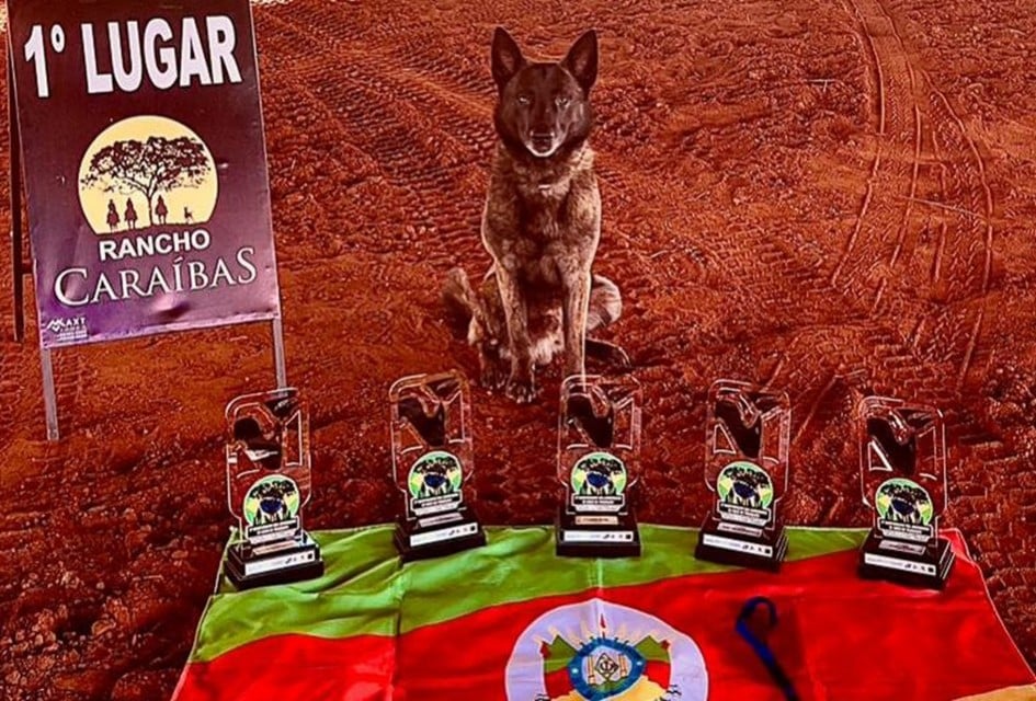 Foto: Divulgação/Ascom Polícia Penal