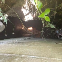 Fotos: Guarnição de serviço dos Bombeiros Militares de Bento Gonçalves