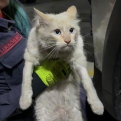 Fotos: Bombeiros Militares de Bento Gonçalves