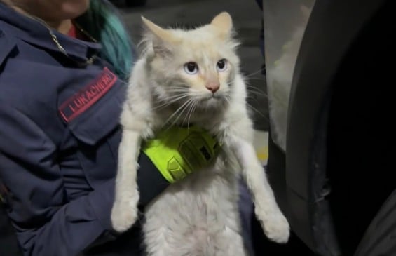 Fotos: Bombeiros Militares de Bento Gonçalves