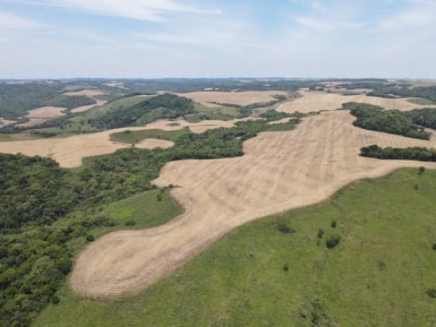 Equipes do Ibama vistoriaram áreas nos municípios gaúchos de Santiago, Bagé, Soledade e Vacaria. (Foto: Fiscalização/Ibama)