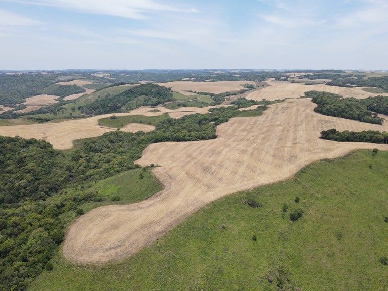 Ibama encontra supressão de campos nativos no RS