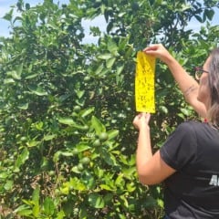 Fotos: Fernando Dias/Ascom Seapi