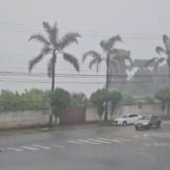 Foto: Especial Leouve