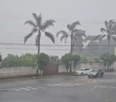 Foto: Especial Leouve