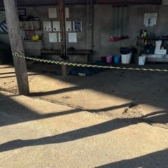 Foto: BM/Divulgação