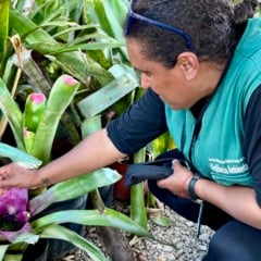 Foto: Gisele Nozari/Divulgação