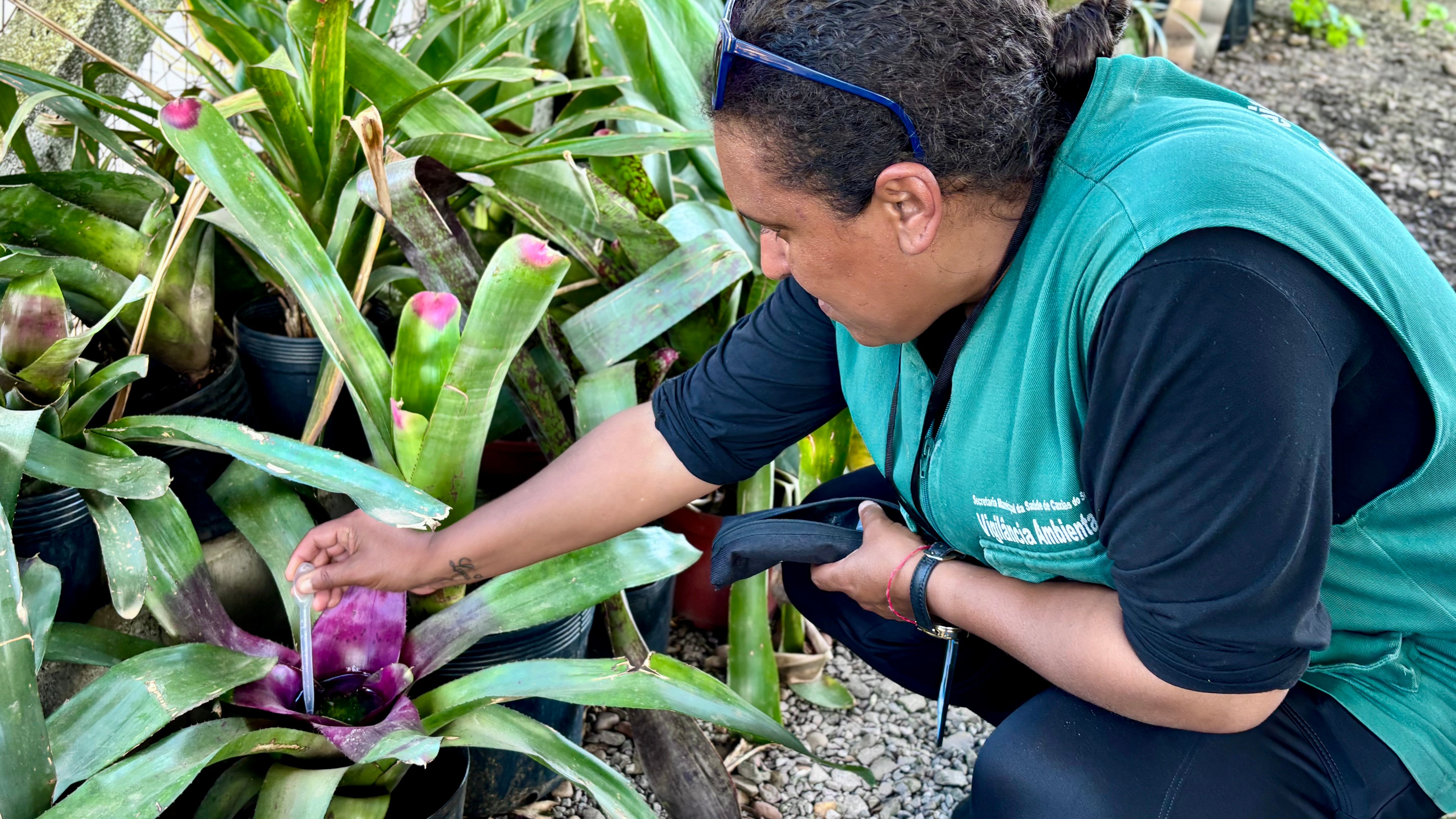Dia D de combate à dengue acontece neste sábado (29) em Caxias do Sul