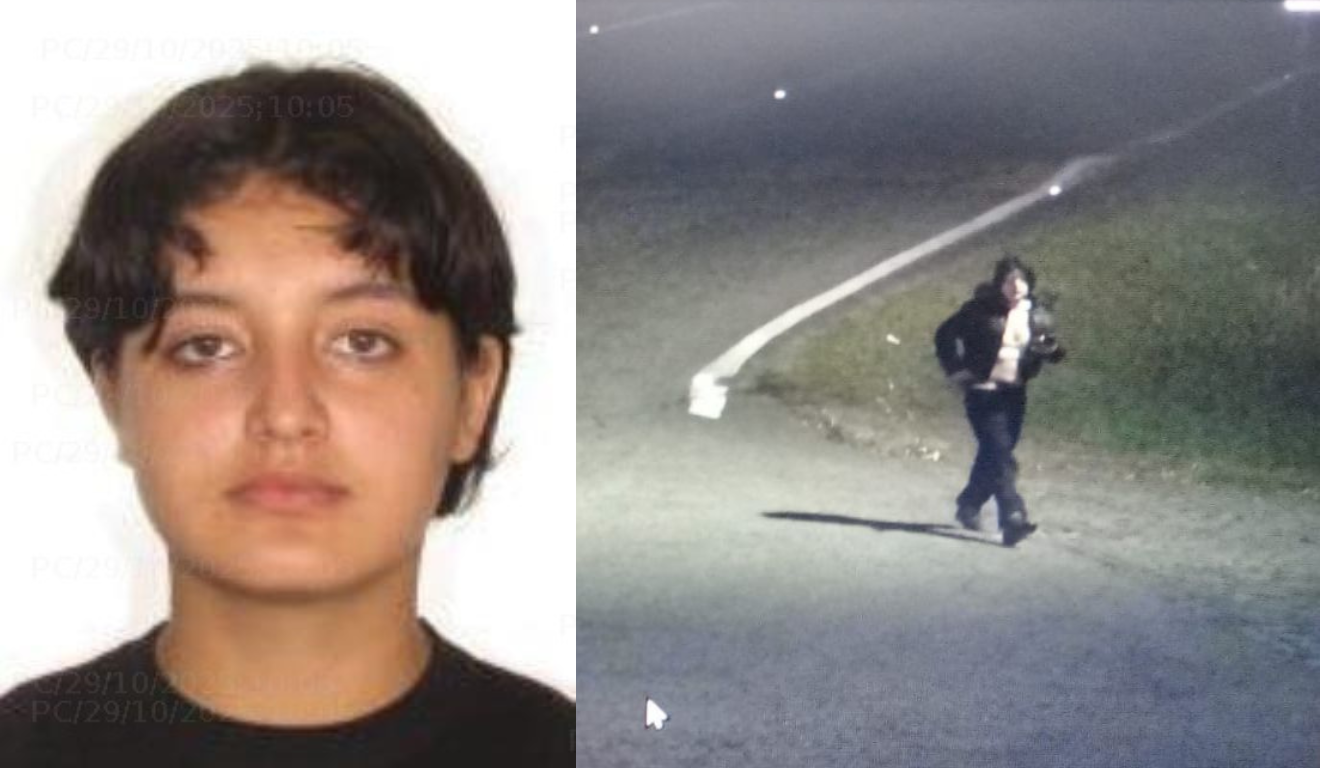 ALANYS DA SILVA KENIG, flores, adolescente, desaparecida