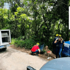 Corpo de adolescente desaparecida é encontrado no interior de Flores da Cunha