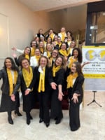 Diretoria da BPW mobilizada pela realização de um grande evento.