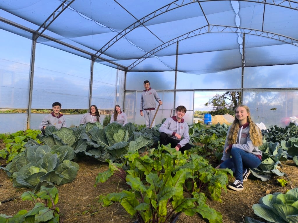 Foto: Rosa Ana Bisinella/Divulgação