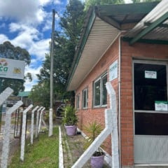 Foto: Fabiano Provin/Codeca