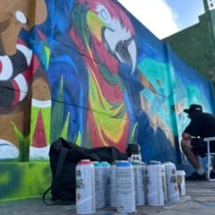 Foto: Juliane Ribas/Grupo RSCOM