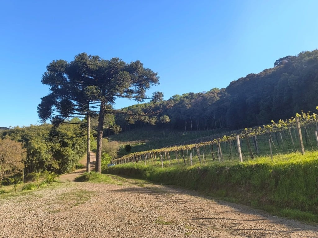 Foto: Divulgação/Casa Hevian