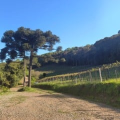 Foto: Divulgação/Casa Hevian