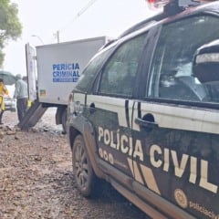 Foto: Polícia Civil/Divulgação