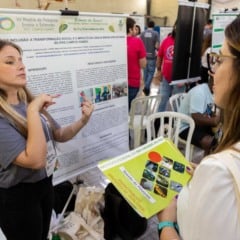 Salão de Pesquisa, Extensão e Ensino de 2024 (Crédito: Divulgação IFRS)