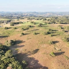 Foto: Fokuss Videojornalismo/Prefeitura de Caxias do Sul