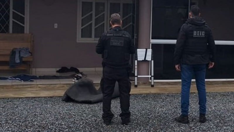 Foto: PC/Divulgação Foto: PC/Divulgação