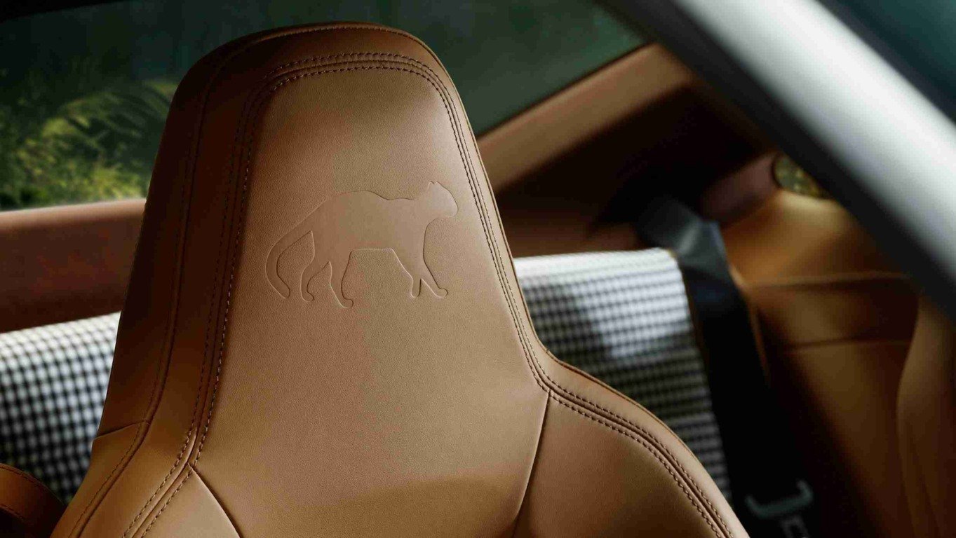 Porsche 911 GT3 Ocelot - Foto: Divulgação