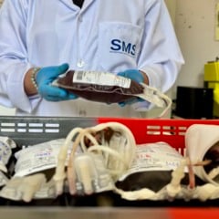 Foto: Gisele Nozari/Divulgação