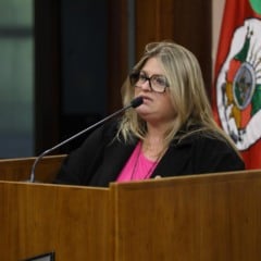 Foto: Augusto Martins/Câmara Municipal/Divulgação