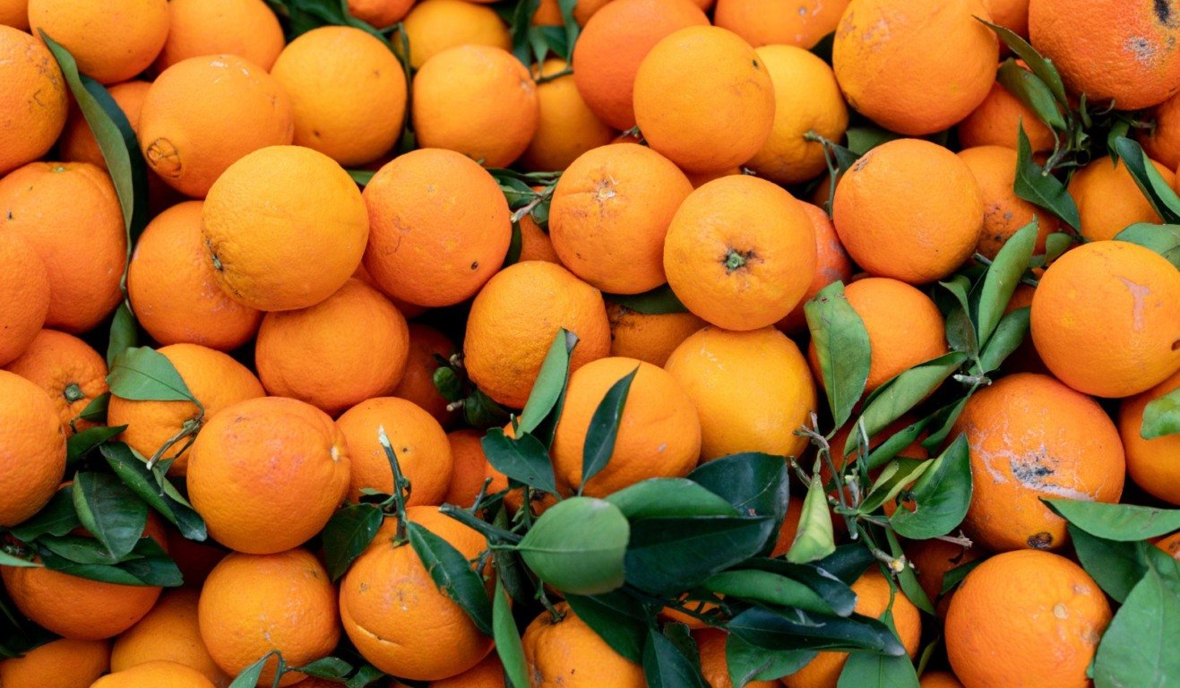 Imagem Ilustrativa/Reprodução Imagem Ilustrativa/Reprodução