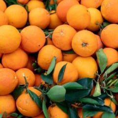 Imagem Ilustrativa/Reprodução