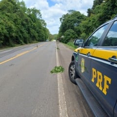 Foto: PRF/Divulgação